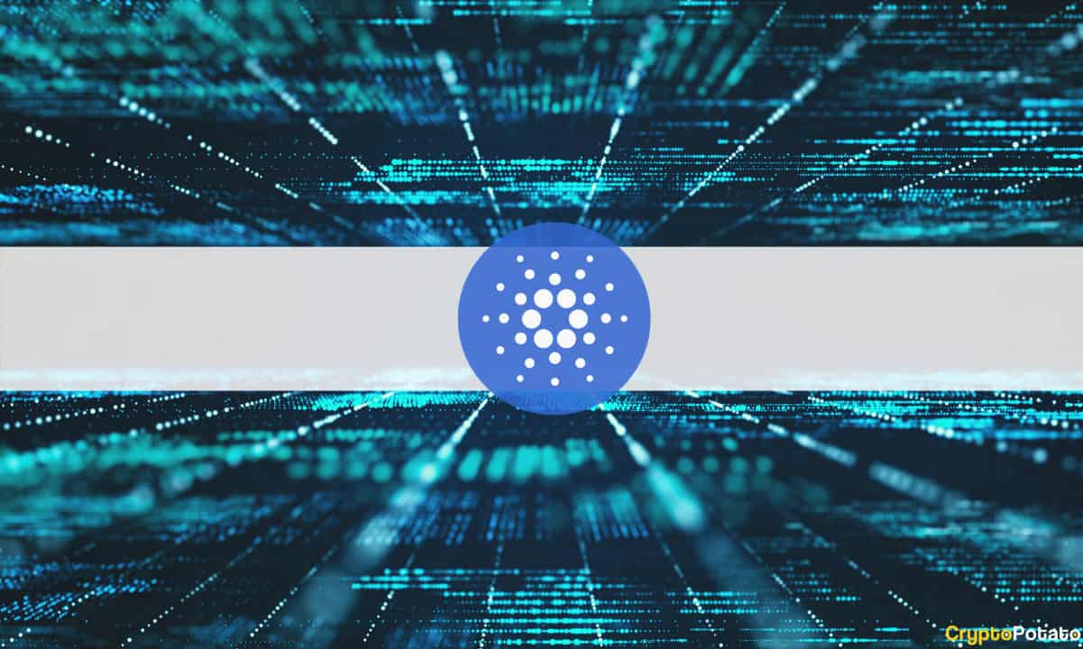 Picture of a Cardano logo in between two computer screens