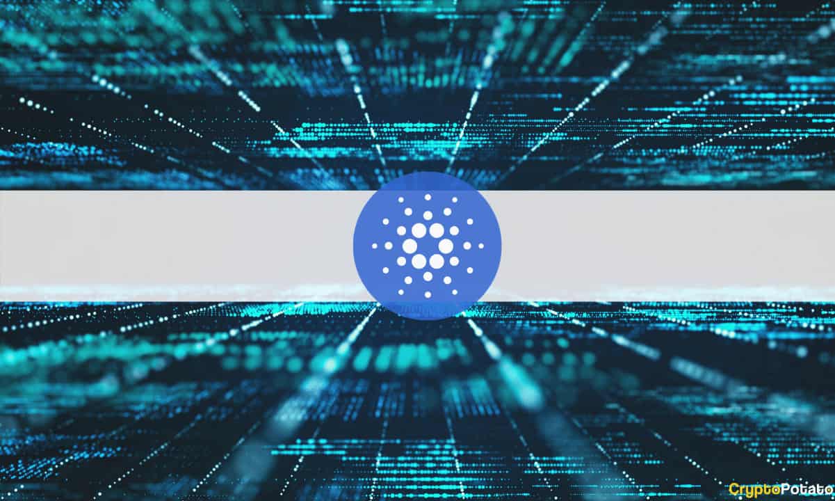 cardano network load