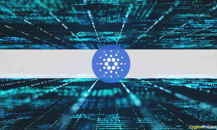 Picture of a Cardano logo in between two computer screens