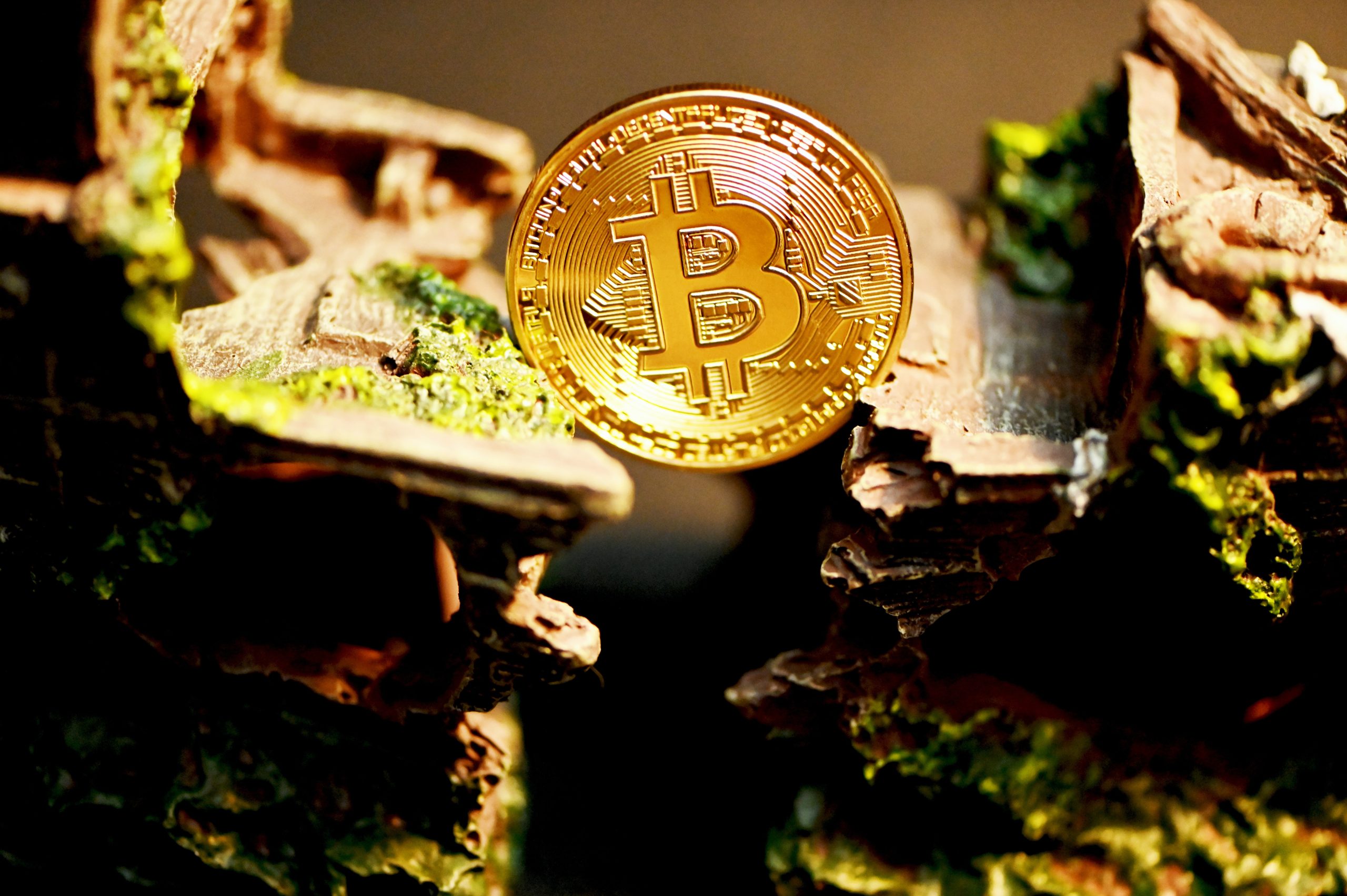 Bitcoin Short-Term Supply