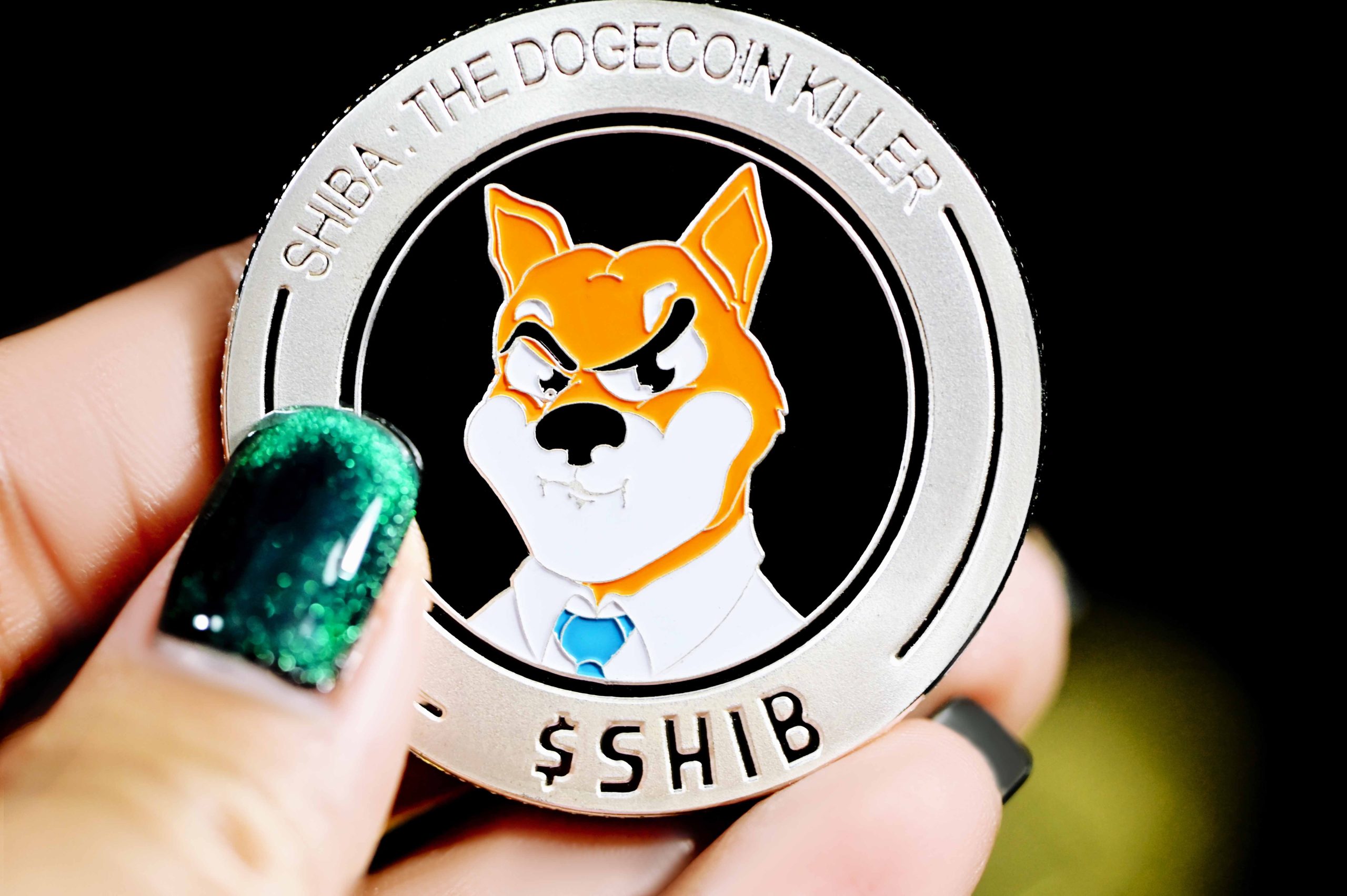 By The Numbers: What $1000 In SHIB Is Worth Now