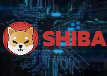 Picture of a Shiba Inu logo