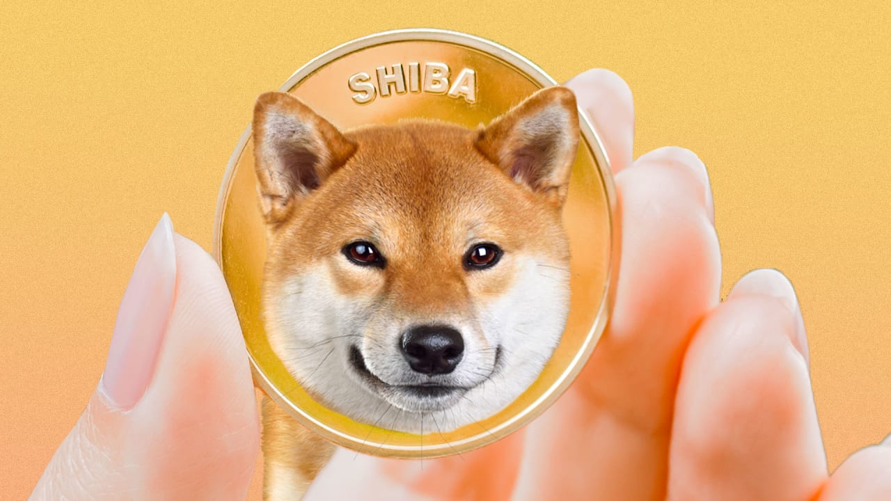 Picture of a hand holding a Shiba Inu coin