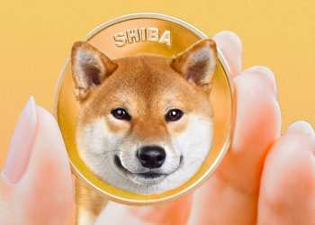 Picture of a hand holding a Shiba Inu coin
