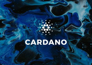 Picture of the Cardano logo