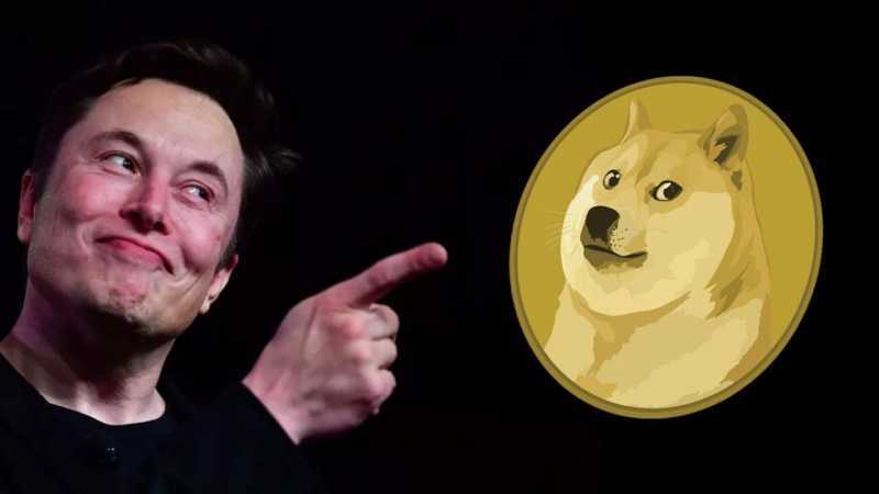 Picture of Elon Musk pointing to a Dogecoin