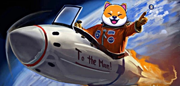 nasadoge