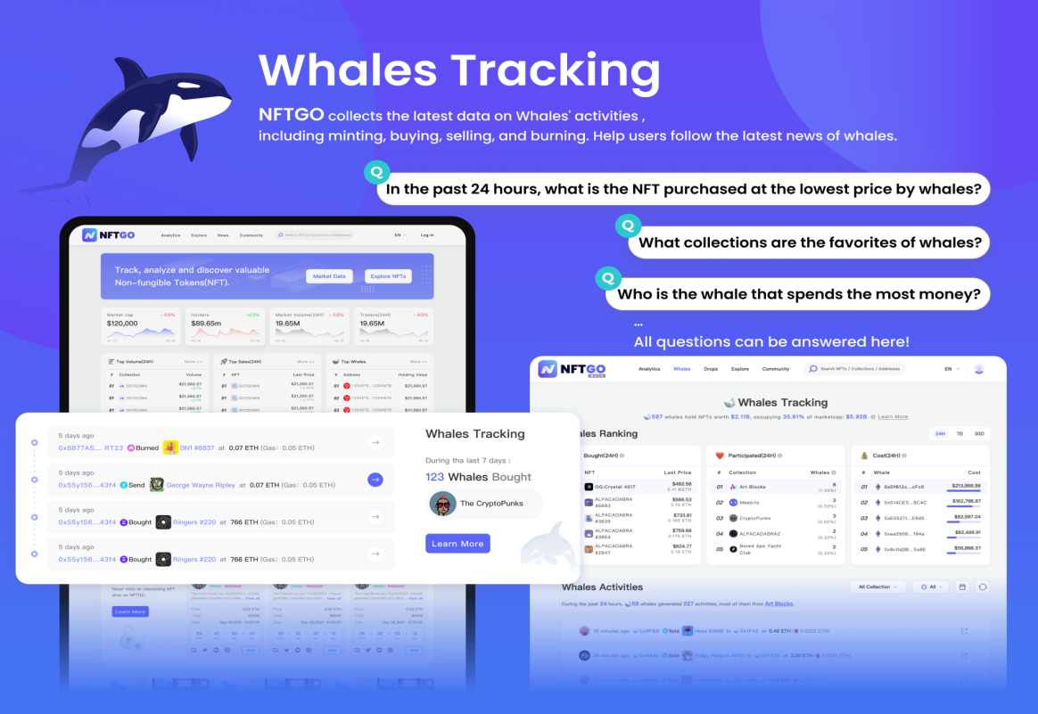 whales tracking