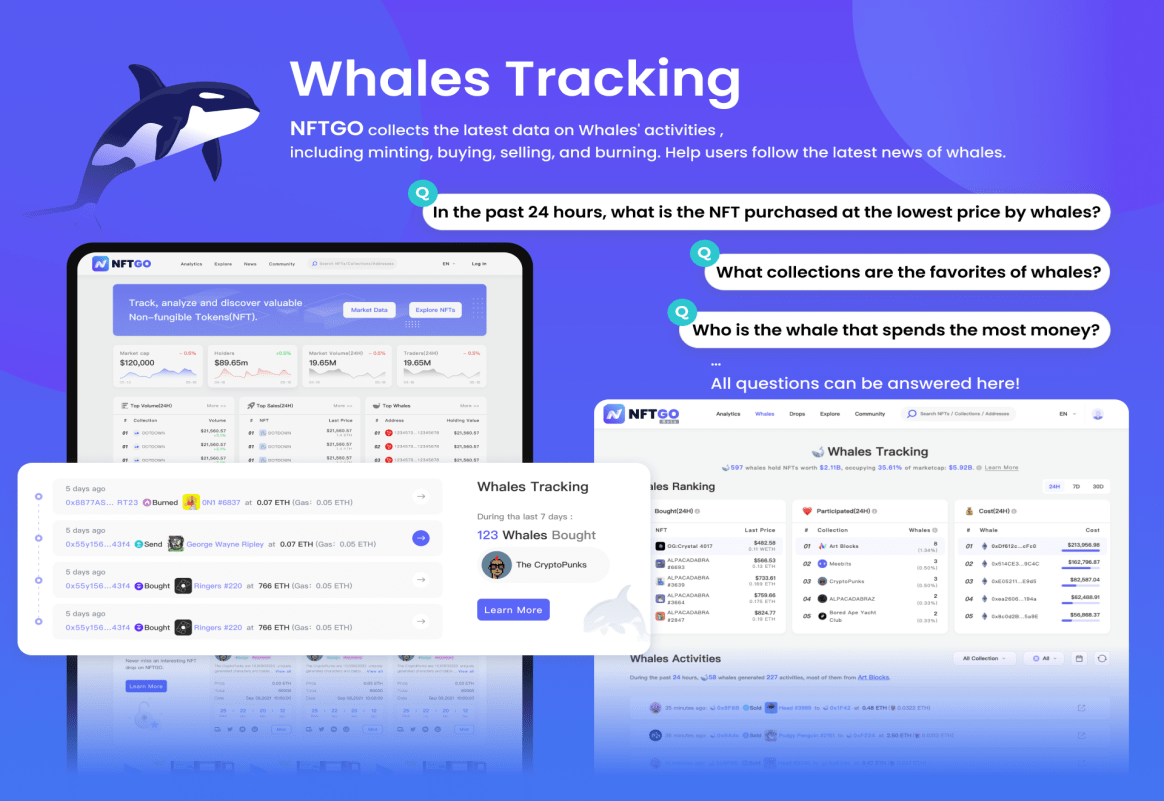 whales tracking