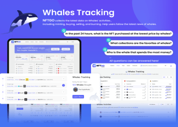 whales tracking