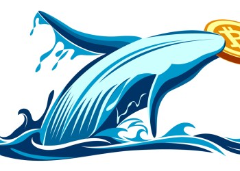 Picture of a whale holding a bitcoin in its mouth