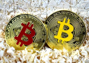 Quant Explains How Bitcoin On-Chain Data Can Identify Peaks Vs Shakeouts