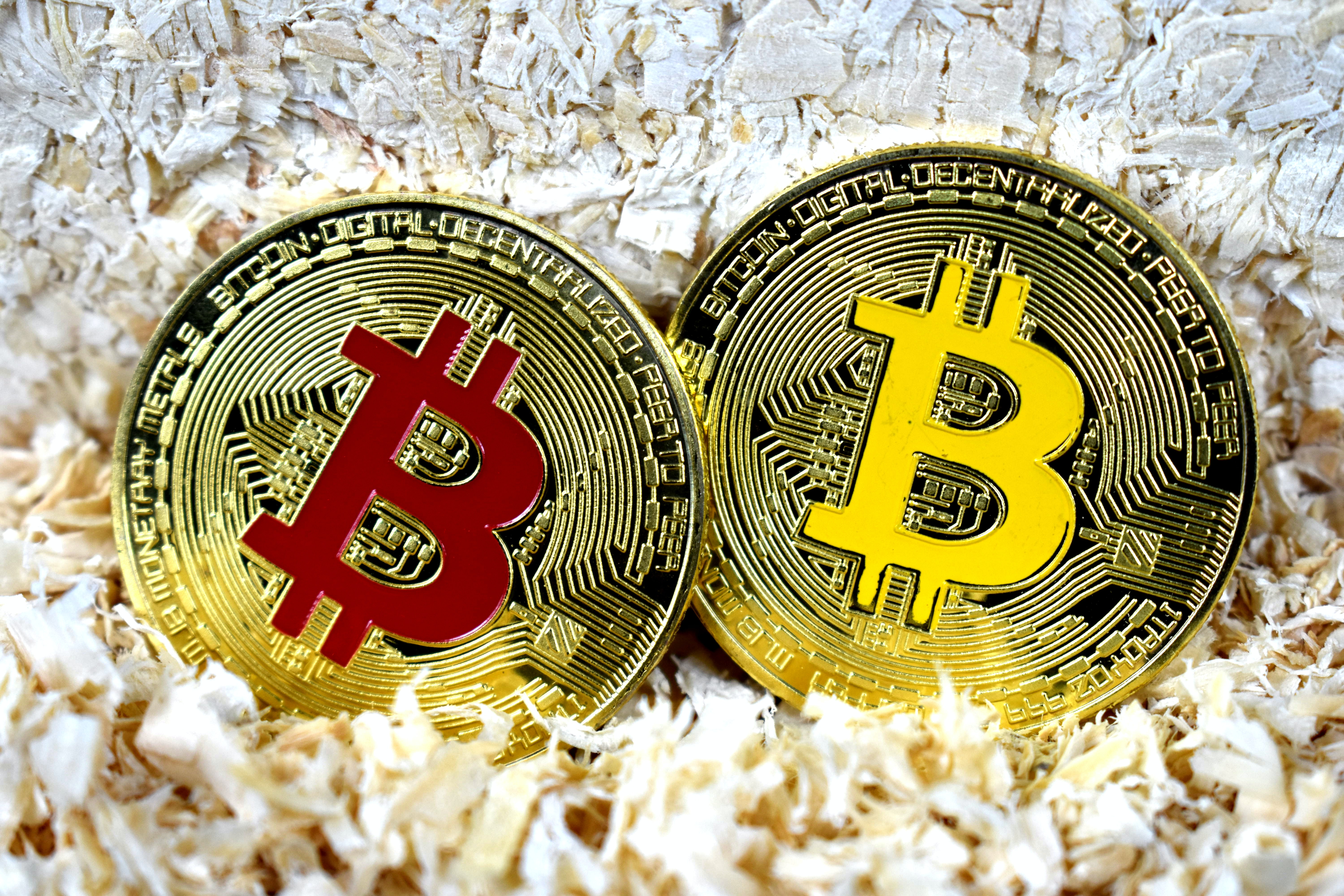 Quant Explains How Bitcoin On-Chain Data Can Identify Peaks Vs Shakeouts