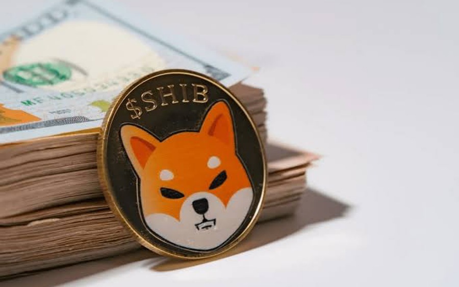 Picture of a Shiba Inu coin resting on two bundles of cash
