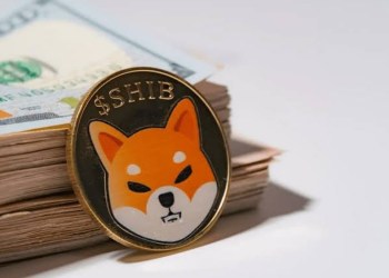 Picture of a Shiba Inu coin resting on two bundles of cash