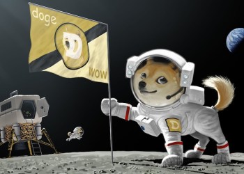 Picture of a Shiba Inu dog holding a Dogecoin flag in space