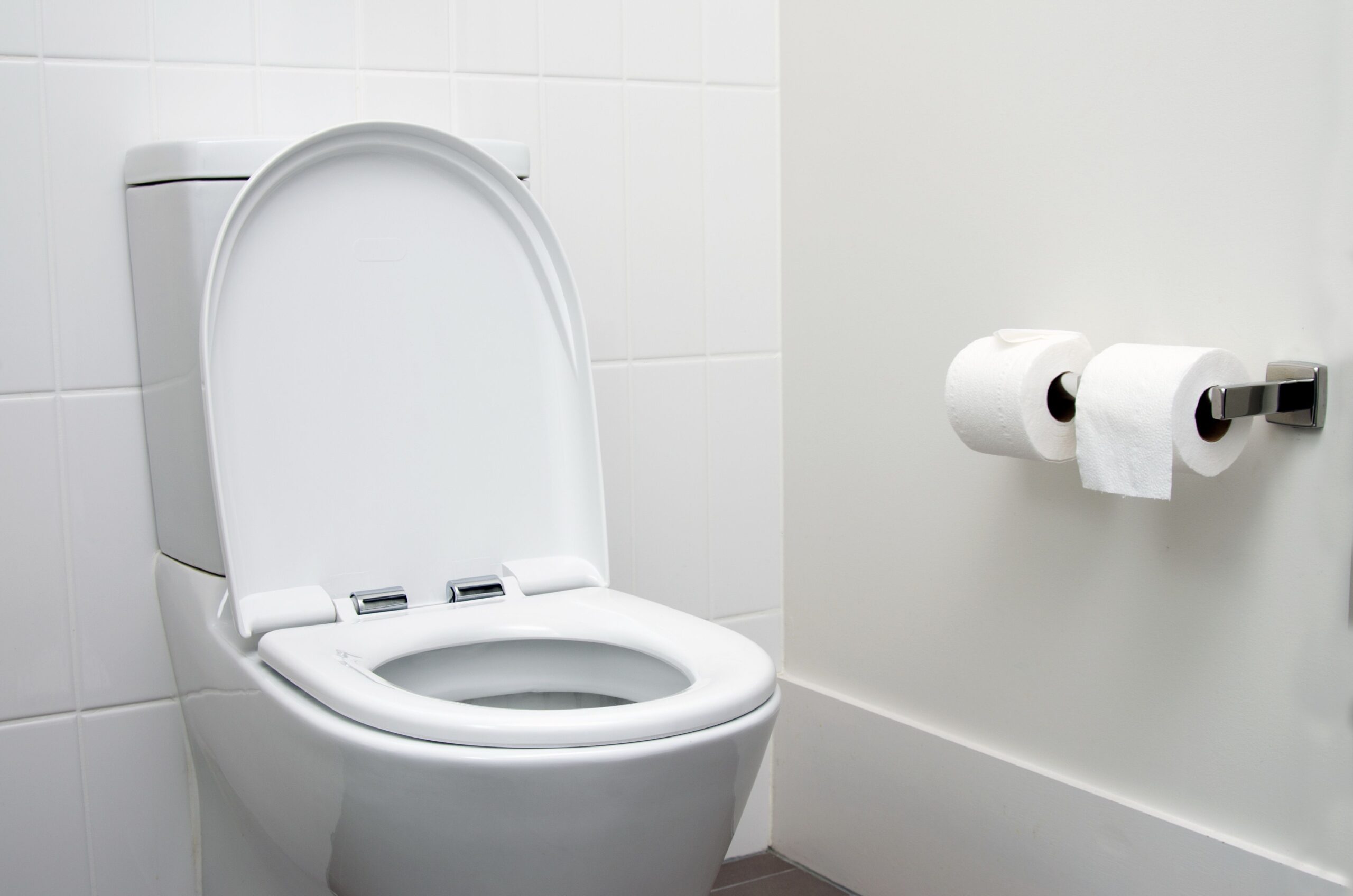 Picture of a toilet representing bitcoin dump