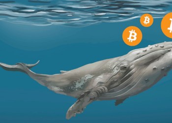 Picture of a whale with bitcoin logo