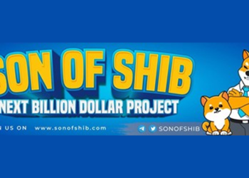 The SON Of SHIB Ready To Follow Father’s Footsteps Into a Social Phenomenon
