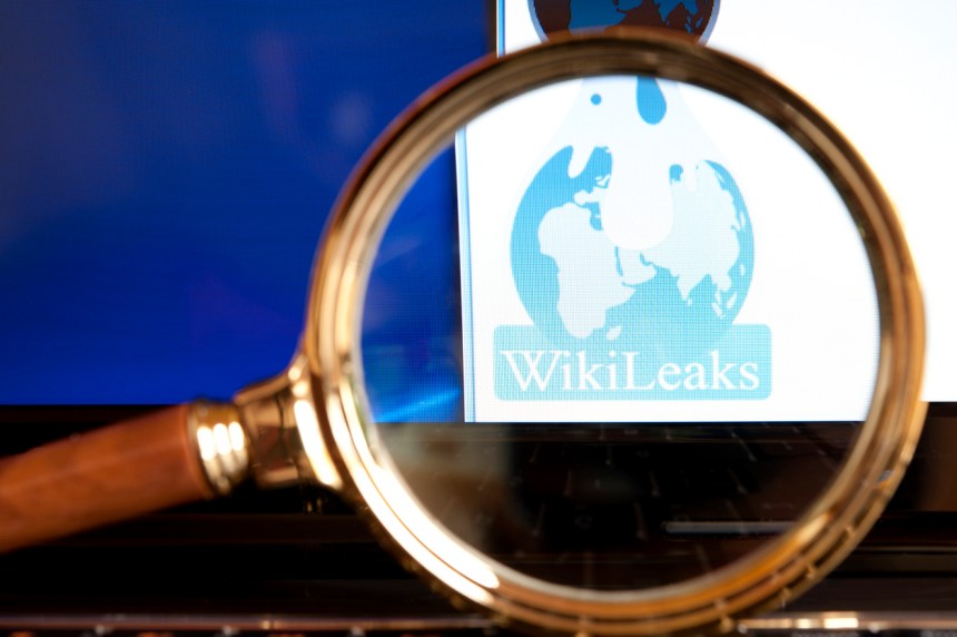 bitcoin wikileaks crypto
