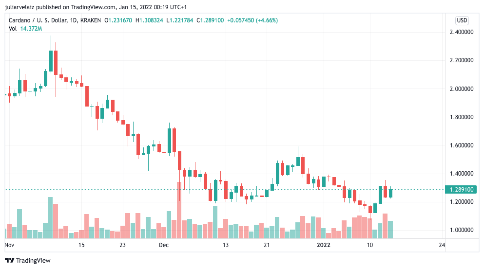 Cardano Enters The Basho Stage: How It Improves Performance