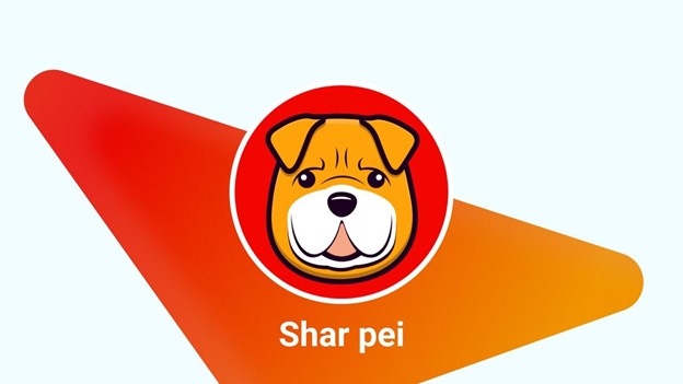 Shar Pei
