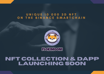 flokimoon