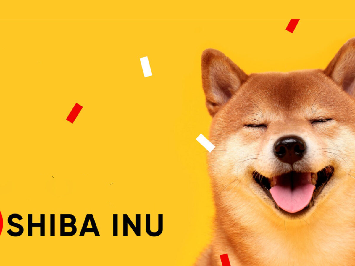 Shiba Inu Enters The Metaverse, But Will This Help Its Price?