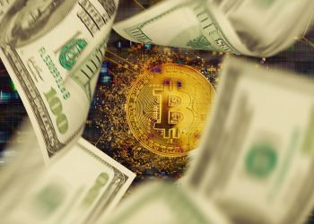 dollar bills with bitcoin behind