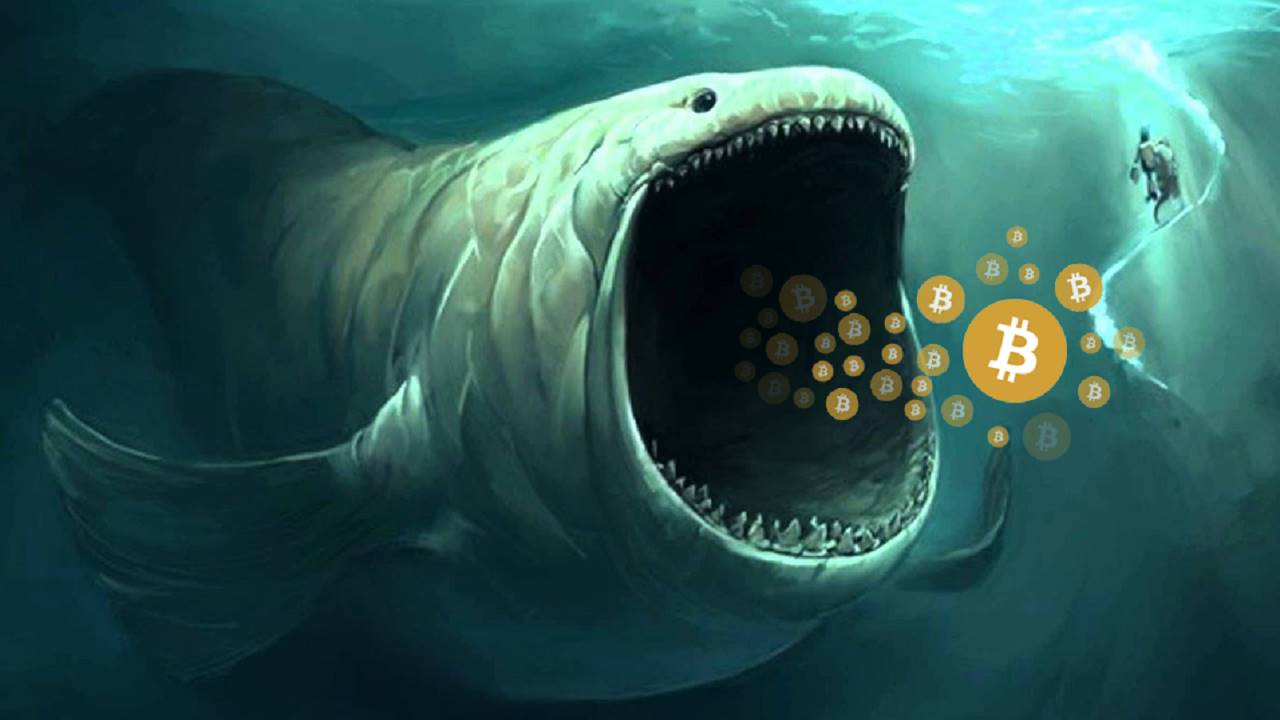 Whale eating up BTC