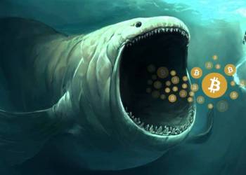 Whale eating up BTC