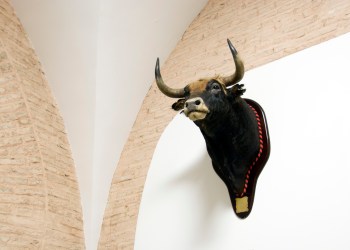 Bull on a wall