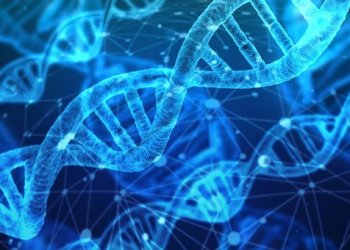 RMDS Lab: A New NFT Marketplace For Science And Tech IP…