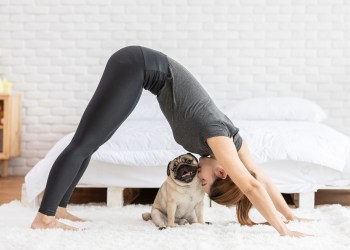 dogecoin downward dog