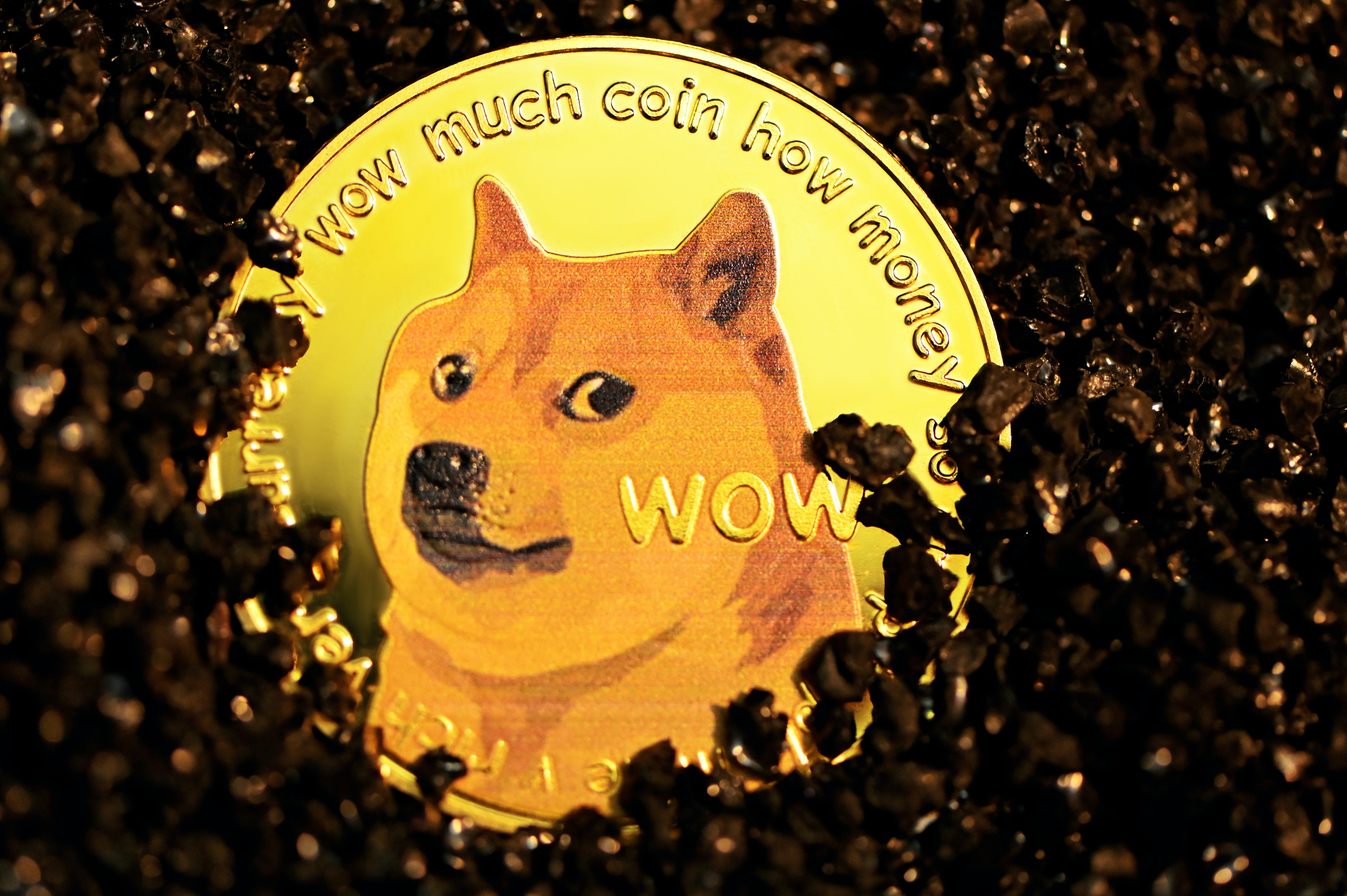 Top Dog Or A Meme Joke: Shiba Inu Slumps 5% As Whales Buy More