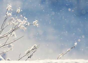 Crypto Winter: An Investor’s Big Fear…