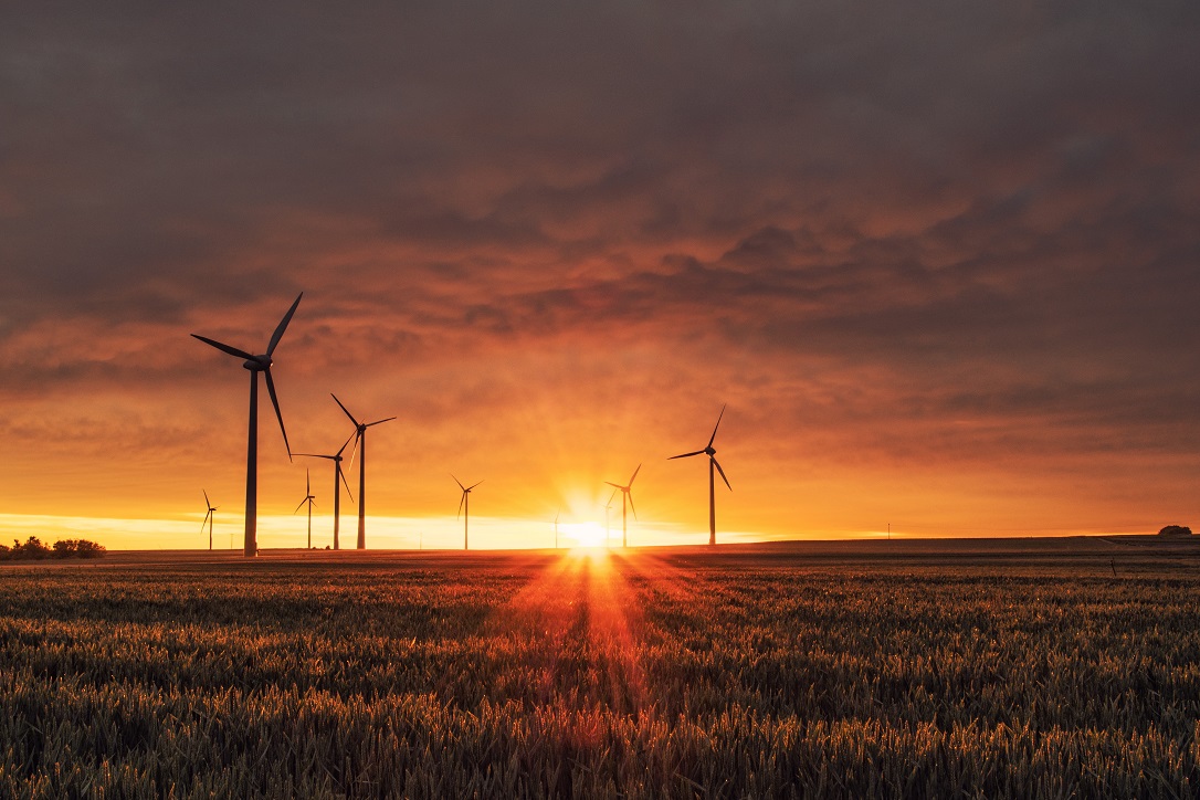 ESG, a wind energy farm in the afternoon