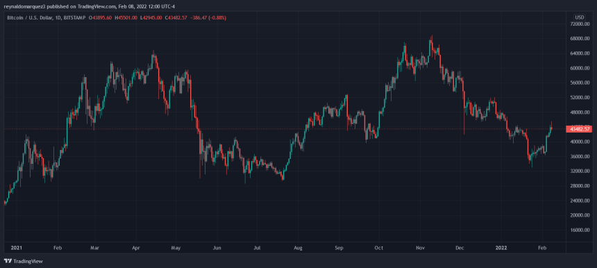 BTCUSD_2022-02-08_12-00-20