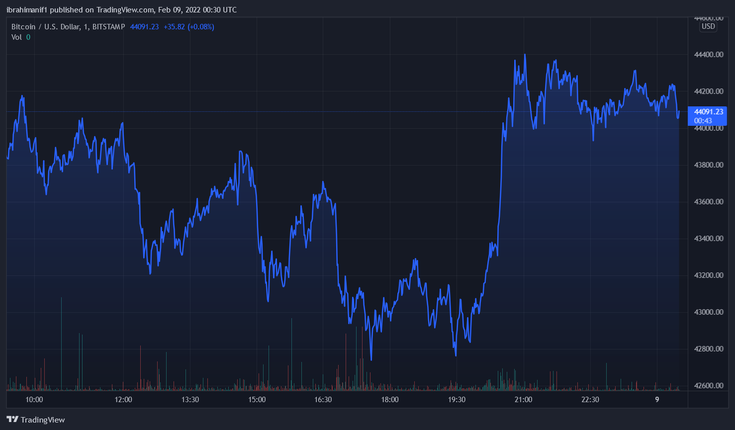 Bitcoin Flips $44k To Support, Bulls In Longest Rally Since September