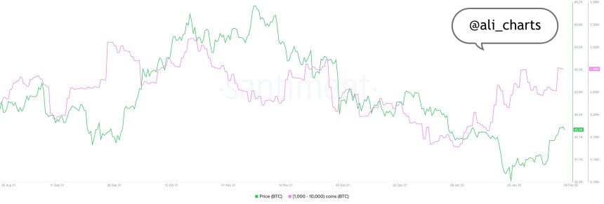 Bitcoin BTC BTCUSD