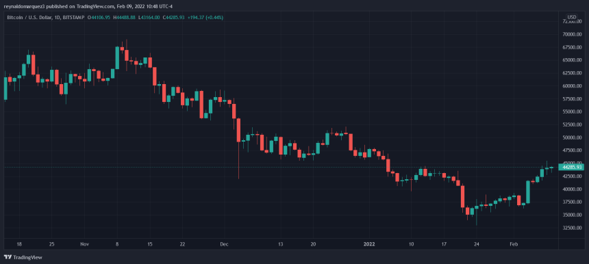 Bitcoin BTC BTCUSD