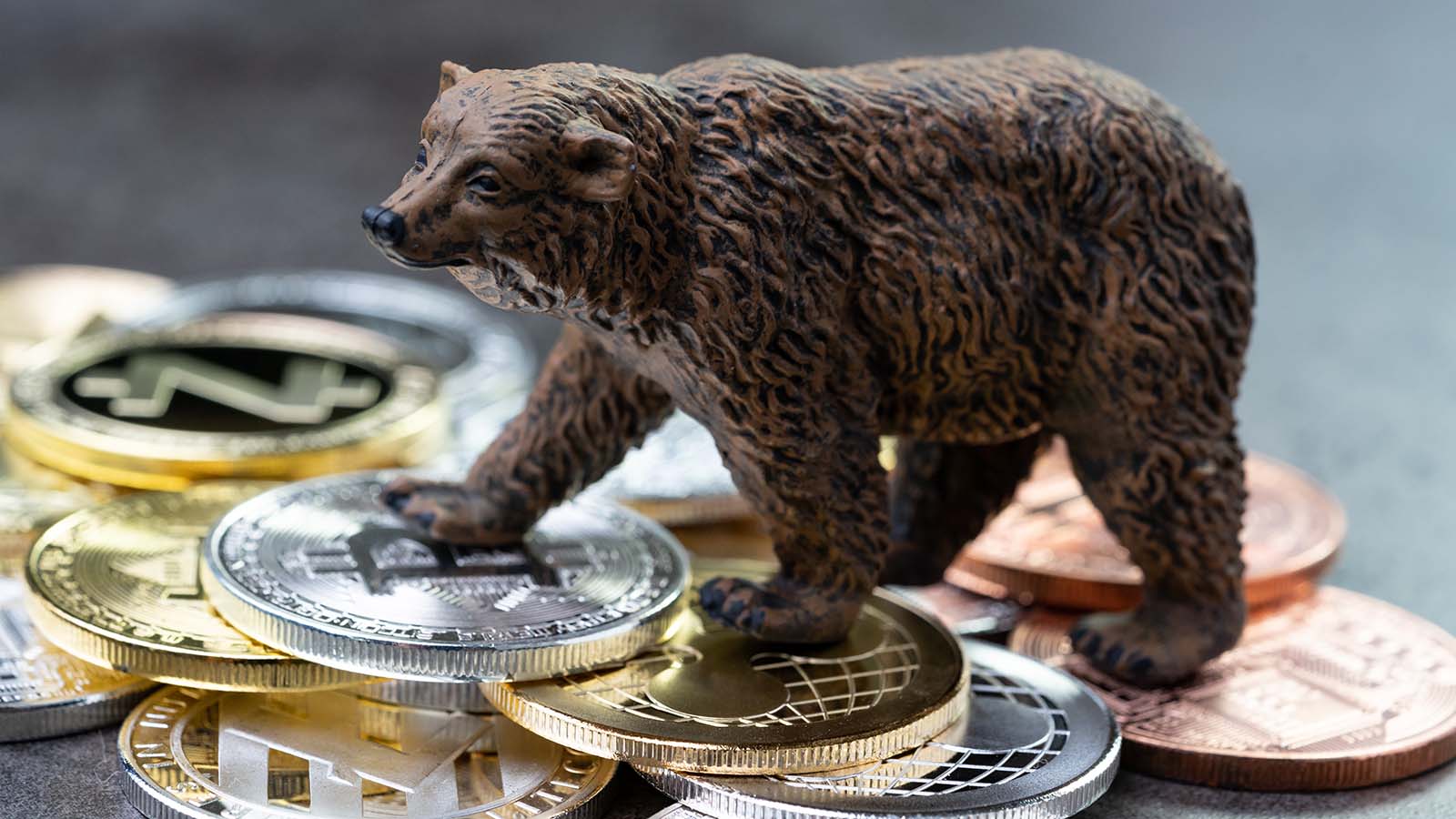 3x short bitcoin token bear