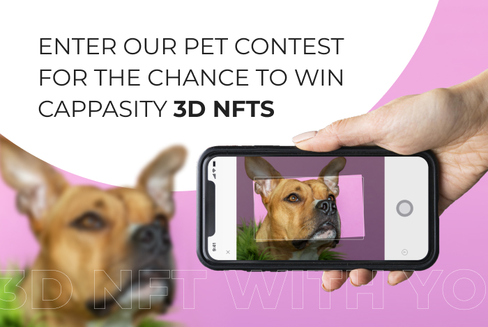 Enter Cappasity Pet Contest for the Chance To Win CAPP 3D NFTs