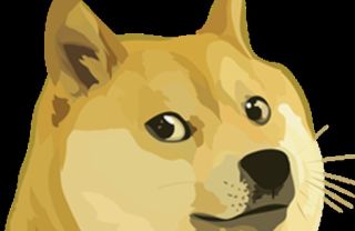 Dogecoin (DOGE)