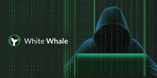 white whale
