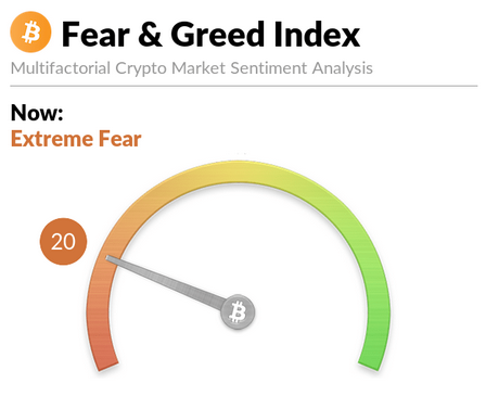 Bitcoin Bloodbath Continues, Bears Grip Put in Extreme Fear Territory