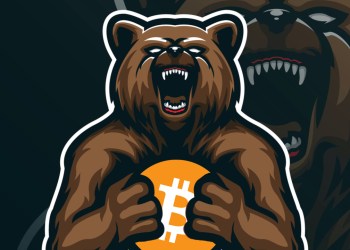 Bear holding bitcoin