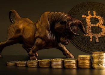 Bitcoin bull