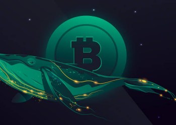 Criminal whales