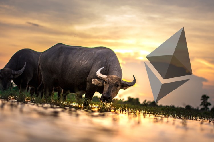 Bull charging at ethereum